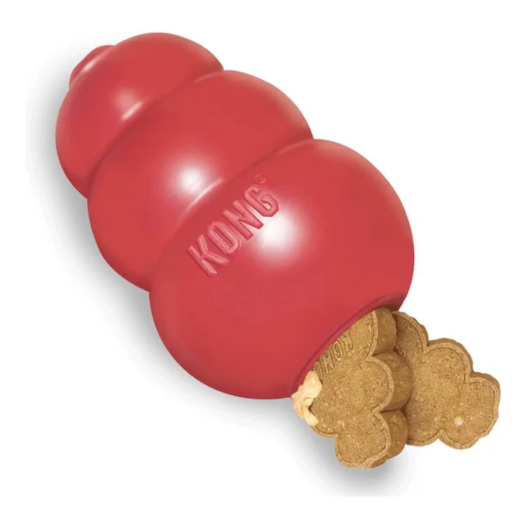 Juguetes masticables - perro