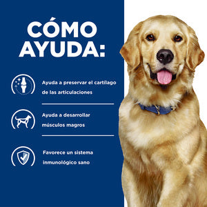 Hill´s Prescription Diet j/d Cuidado de las Articulaciones, Alimento seco para Perros con Sabor a Pollo, Dieta Veterinaria