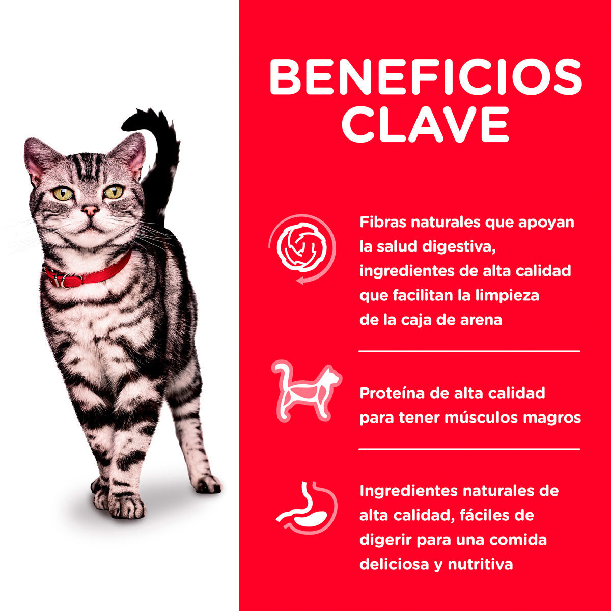 Hill's Science Diet, Alimento para Gato Adulto Indoor, Seco (bulto)