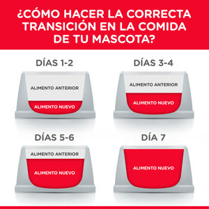 Hill's Science Diet, Kitten Healthy Cuisine, Alimento en lata para Gatitos, Receta de Pollo y Arroz (lata de 80 gramos)