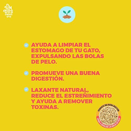 Cat Grass Seeds Pasto De Trigo Para Gatos, 150 Gr - Petopia