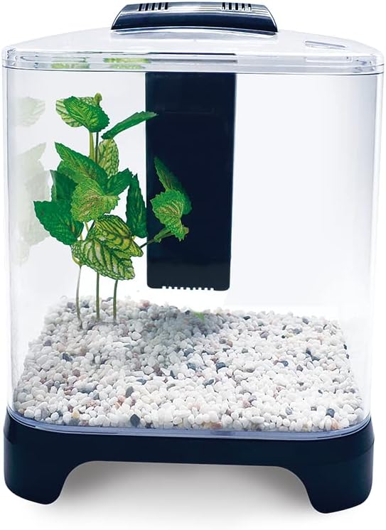 Lomas Acuario Mini 6 L