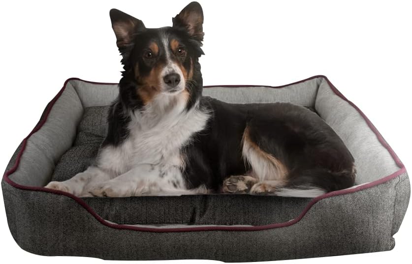 Fancy Pets Cama Chesney para Perro, Resistente, Cojín Removible, Suave y Cómoda, Base impermeble, Fácil de Lavar, Color Gris - Petopia