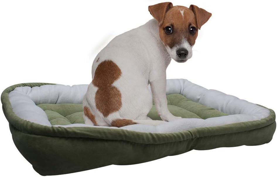 Fancy Pets Cama Económica Rectangular Suave y Resistente Para Perro (Telas Surtidas) - Petopia