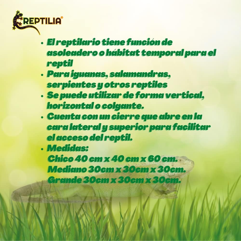 Reptilario Para Baños de Sol, Reptilia