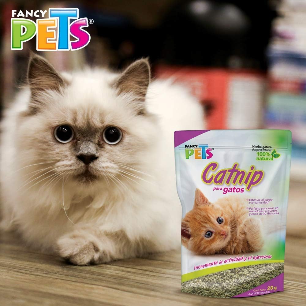 Fancy Pets Catnip para Gato o Hierba Gatera con 28 Gramos - Petopia