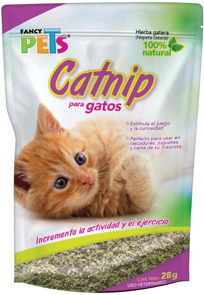 Fancy Pets Catnip para Gato o Hierba Gatera con 28 Gramos - Petopia