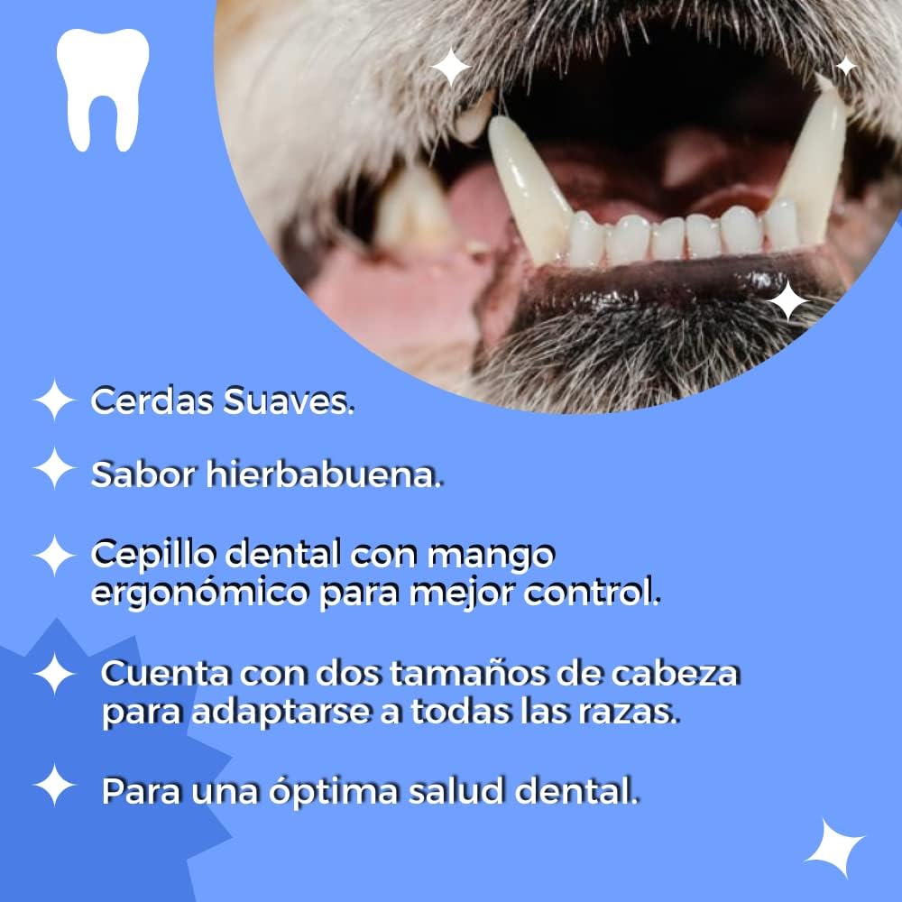 Fancy Pets Kit Dental con Pasta y Cepillo para Perro, Suave Sabor a Menta - Petopia
