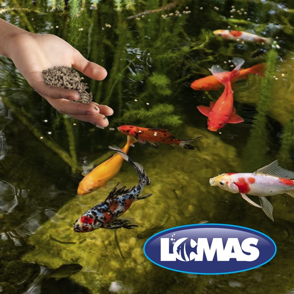 Alimento Pond Stix 15 Kg, Lomas