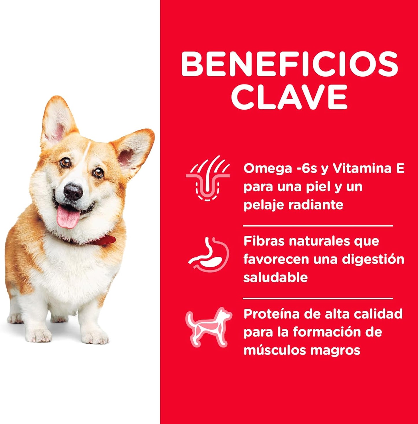 Hill's Science Diet Small Bites, Alimento Seco para Perro Adulto