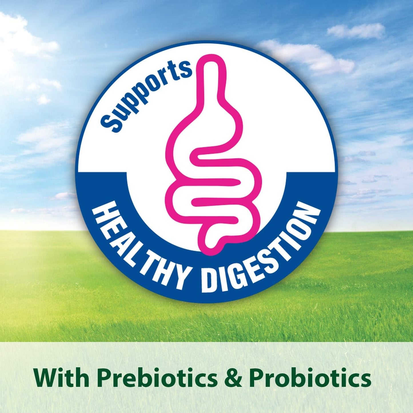 Kaytee Forti-Diet Pro Health Alimento Para Hámster y Jerbos 1.36 Kg (3 Lb)