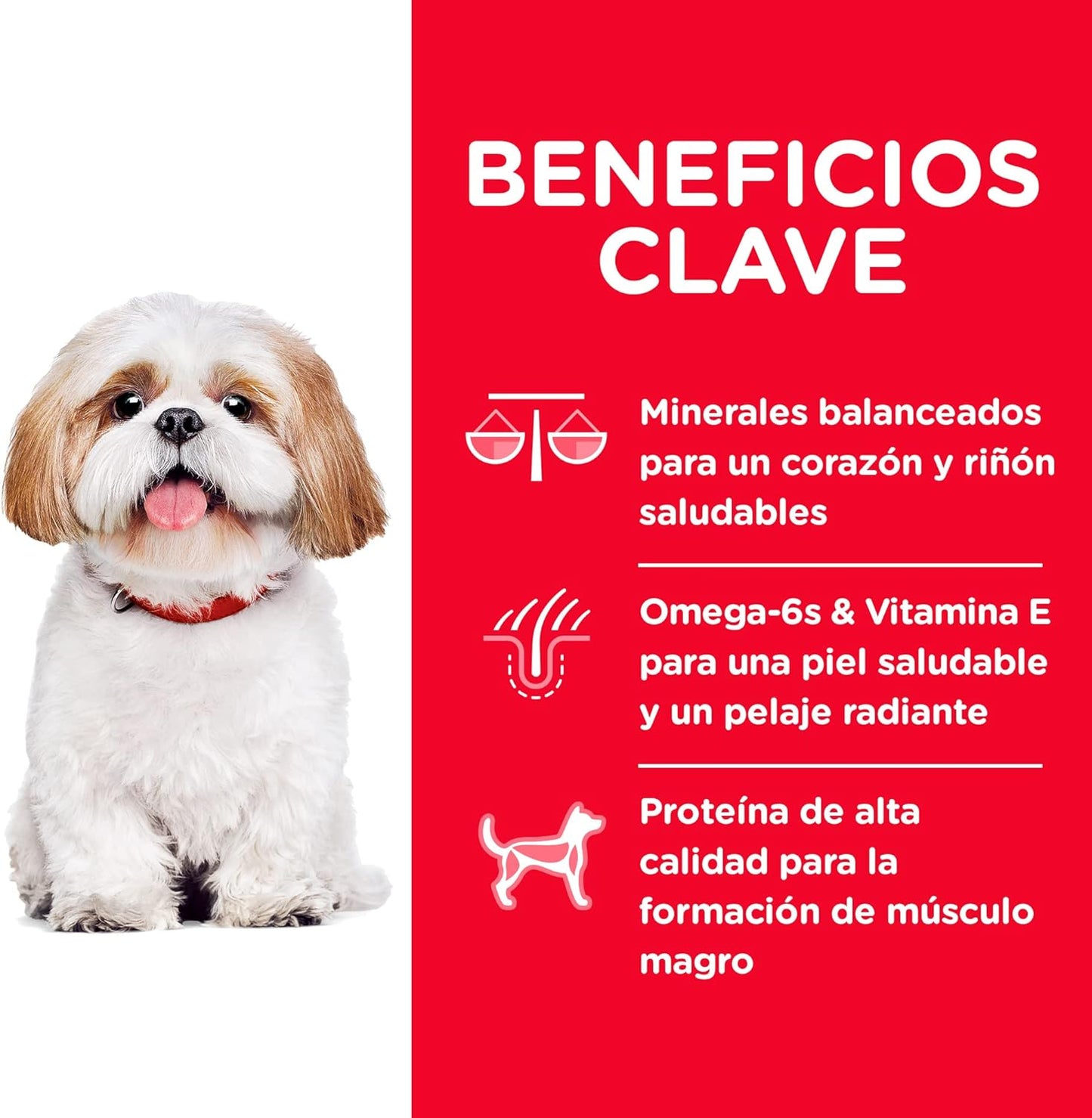 Hill's Science Diet Small Bites, Alimento Seco para Perro Adulto 7+