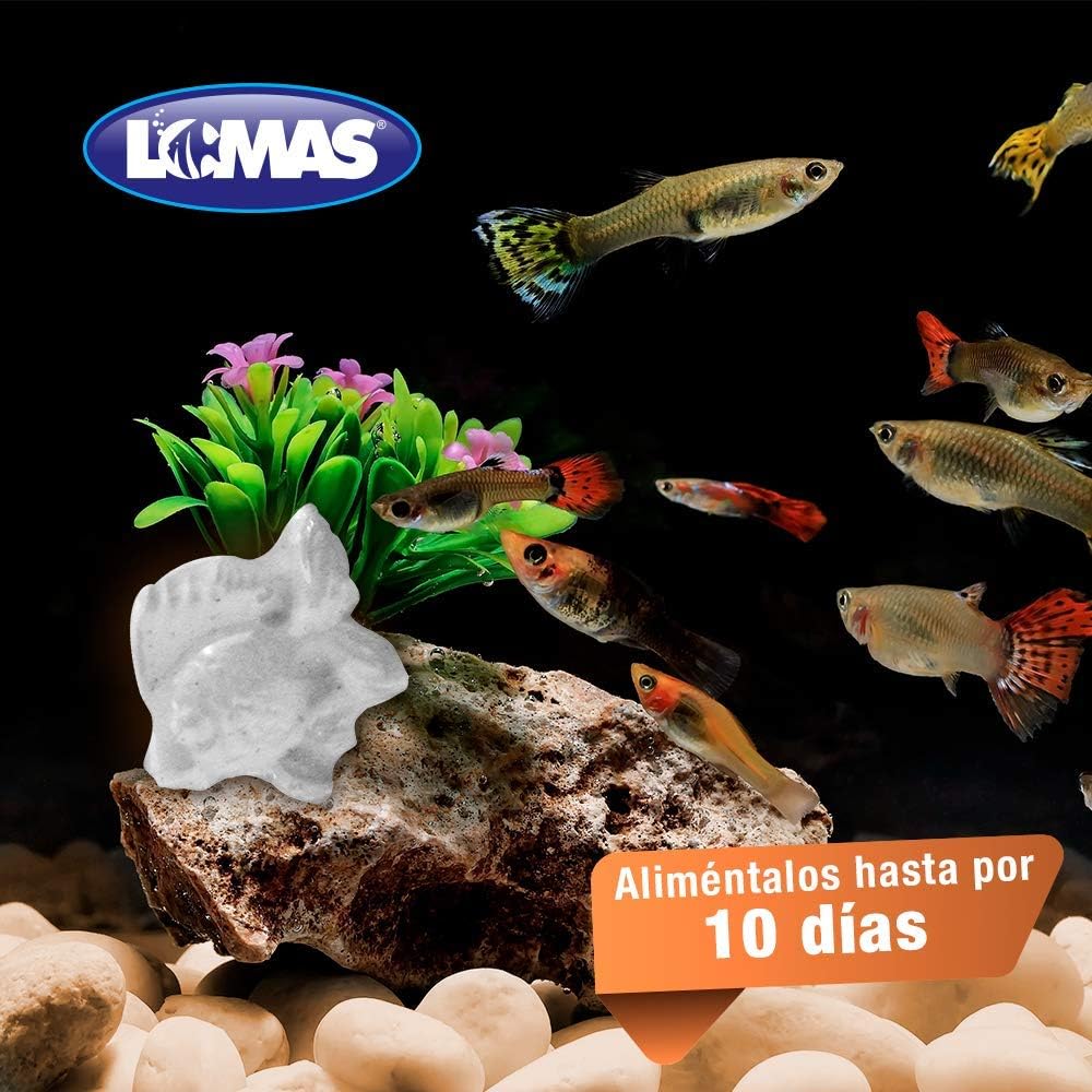 Lomas, Alimento de Vacaciones Para Peces