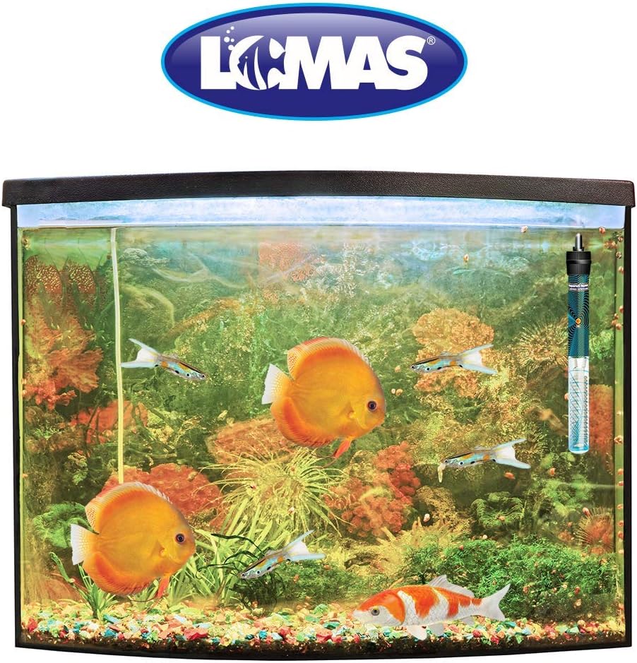 Lomas Calentador Sumergible C/Termostato Thermojet