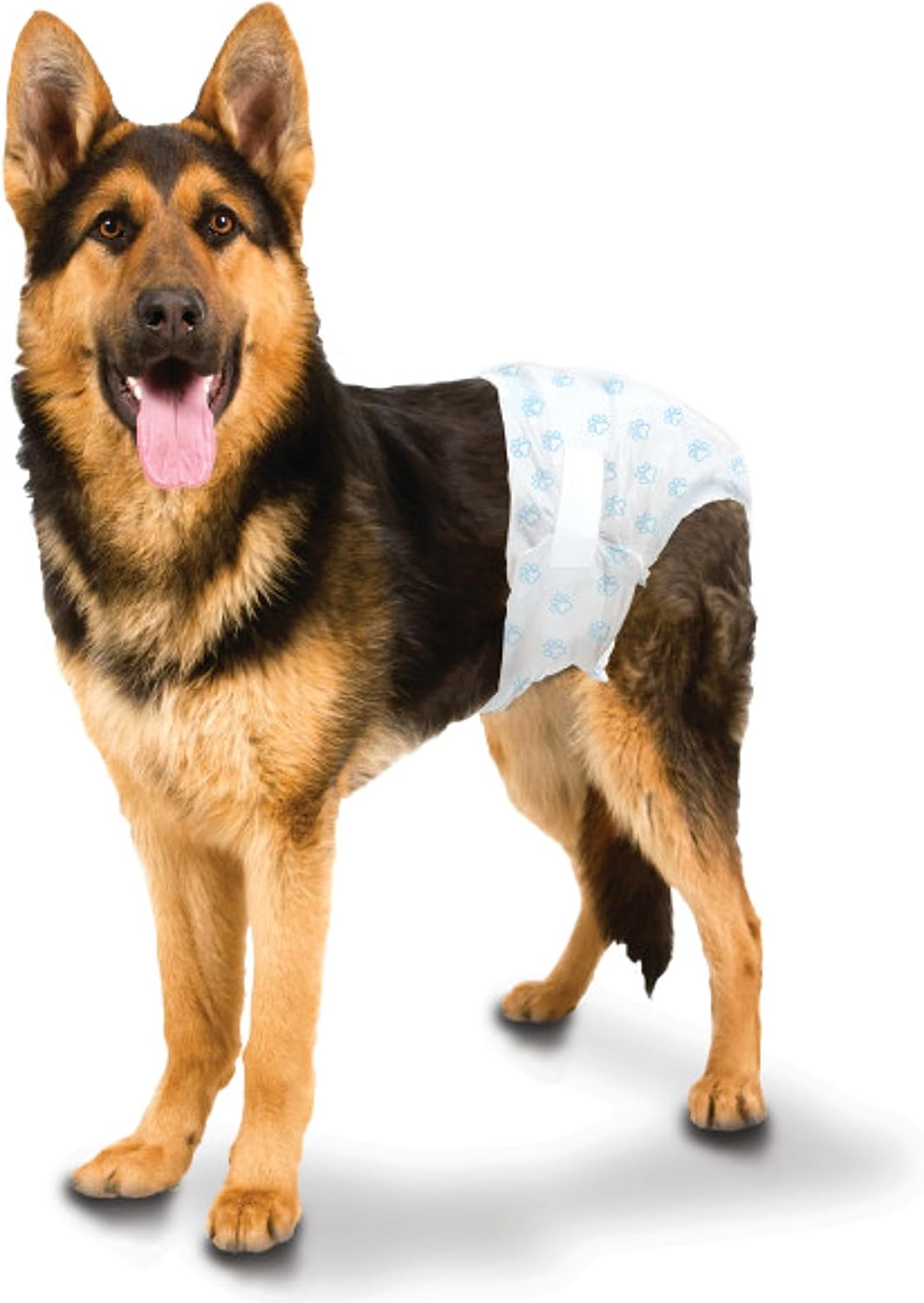 Wee-Wee Pañales con indicador de humedad para perros, talla Grande/X-Grande