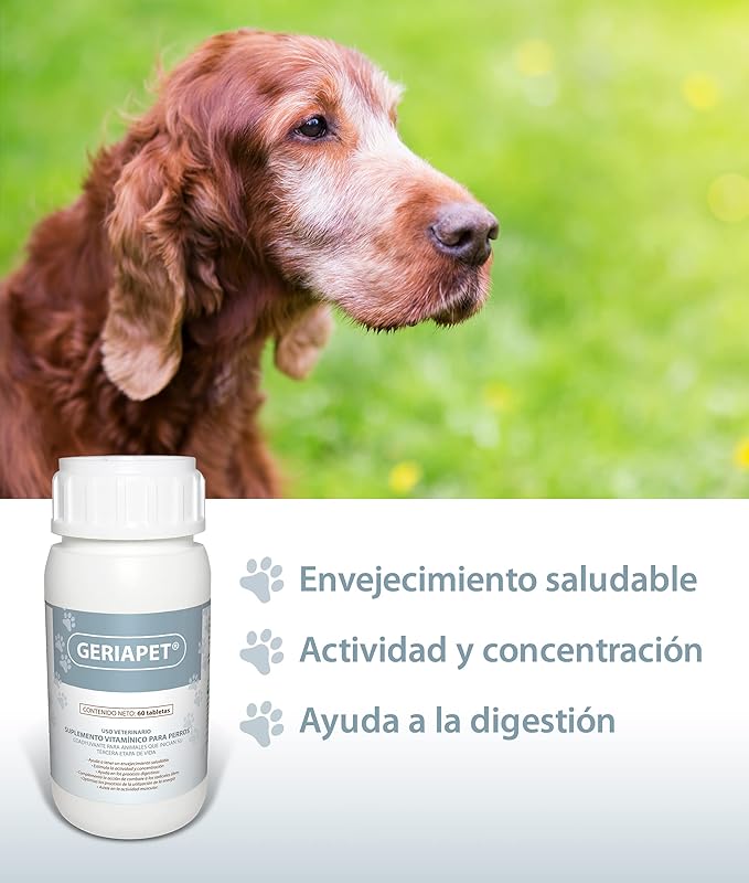 Ruiland Geriapet - Suplemento Alimenticio para Perros Mayores y Tercera Edad, Envejecimiento Saludable, 60 Tabletas Masticables