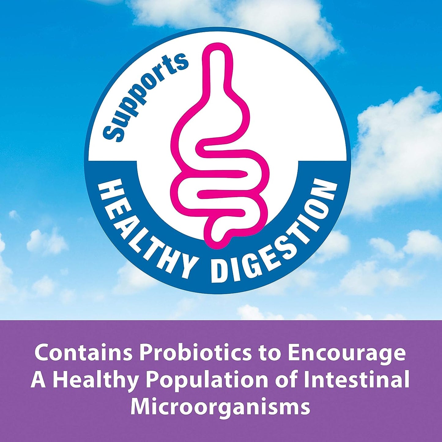 Alimentación manual Exact de Kaytee para pajaritos