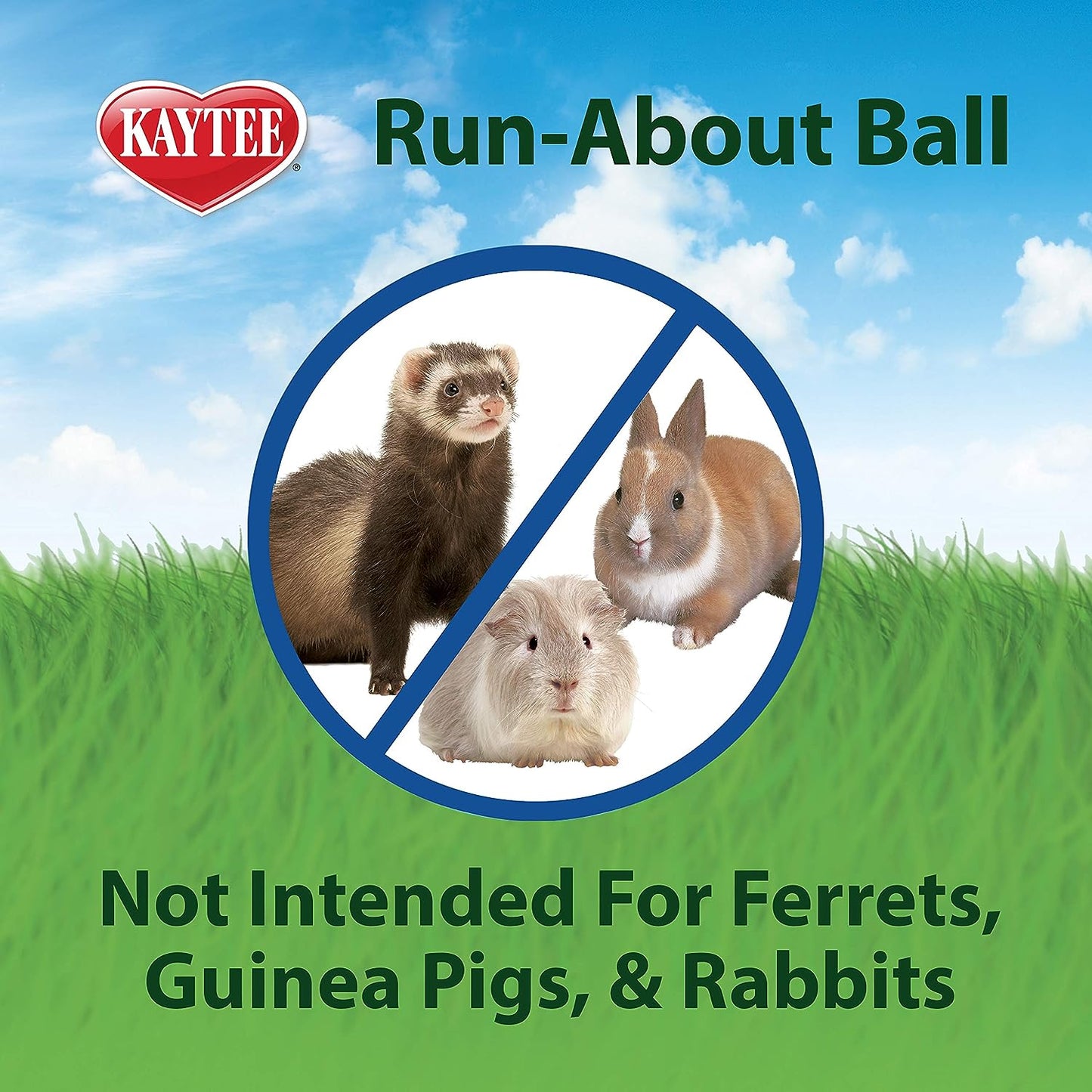 Esfera Ejercitadora Kaytee 13" Pulgadas Para Animales Pequeños