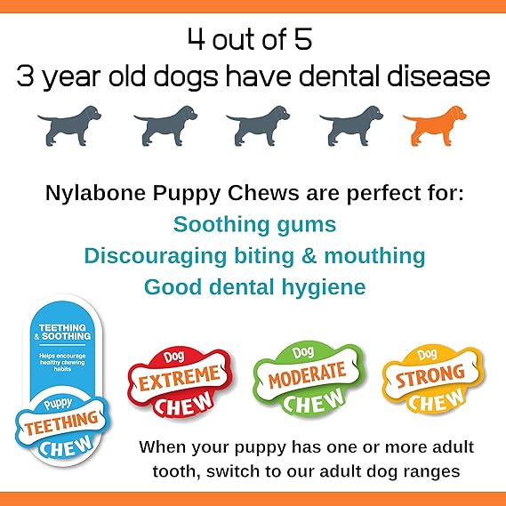 Nylabone - Juguete Masticable Para Dentición Huesos Con Sabor A Carne, Para Cachorro, tamaño Mini