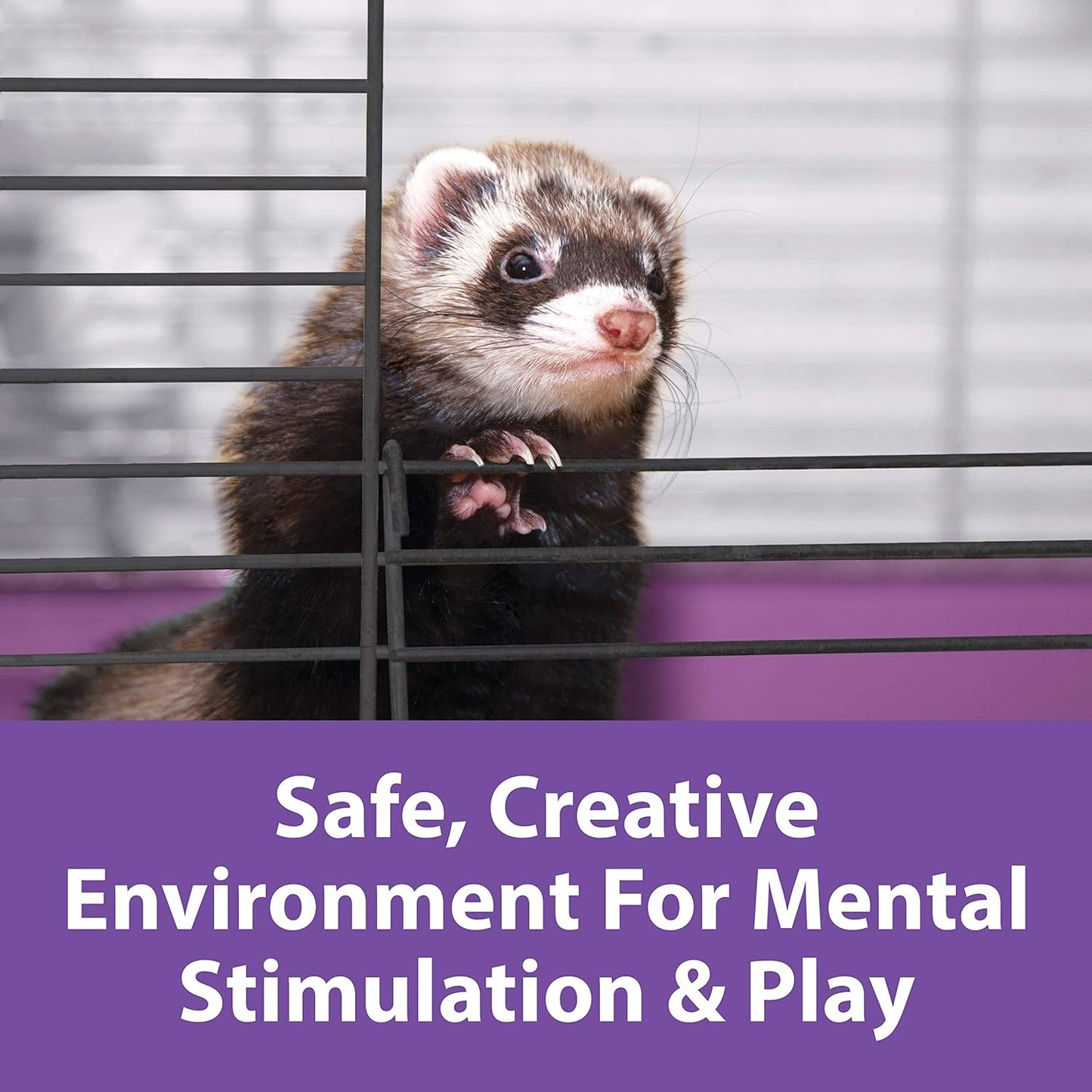 Kaytee My First Home Deluxe 2X2 Multinivel