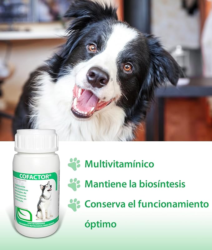 Ruiland Cofactor - Suplemento Alimenticio para Perros, Vitaminas y Minerales, 60 Tabletas Masticables