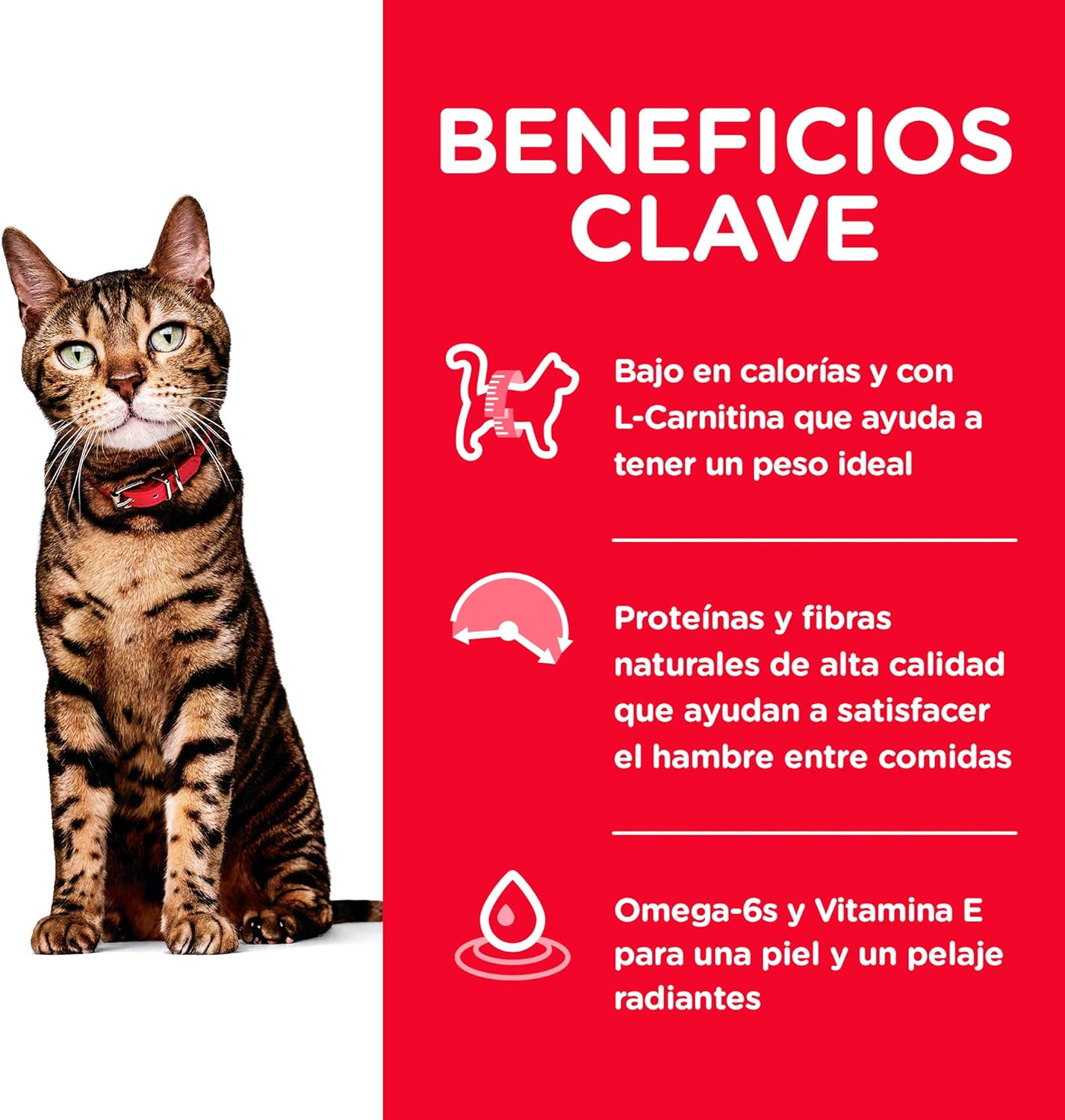 Hill's Science Diet, Alimento para Gato Adulto Receta Original Light, Seco (bulto)