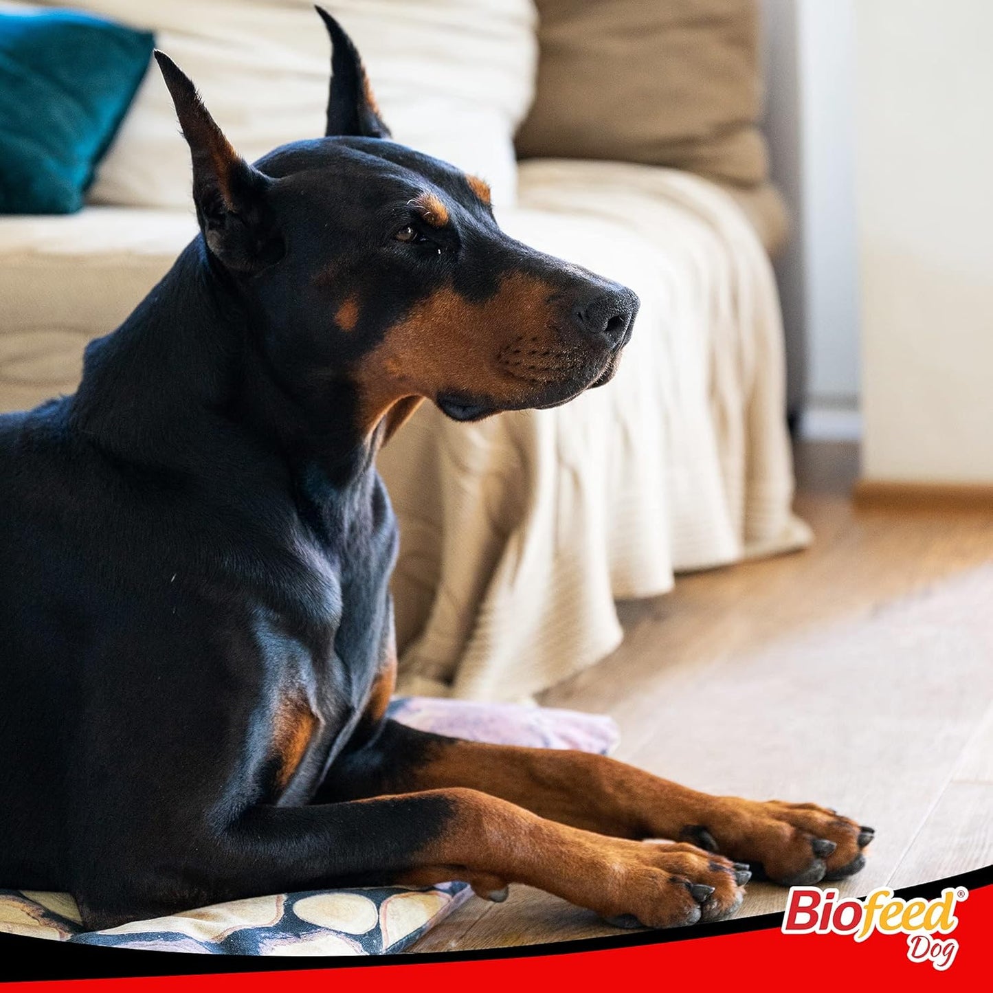 BIOFEED PERRO ADULTO RAZAS MEDIANAS Y GRANDES 20 KG