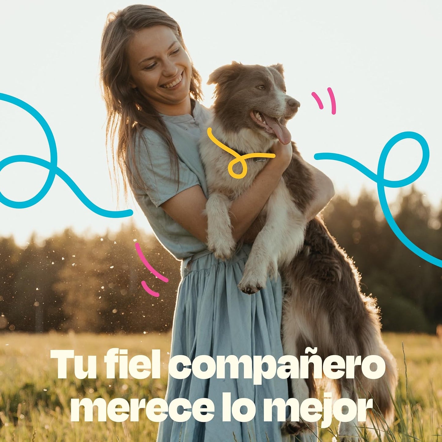 Dogelthy Calming Powder. Suplemento Relajante para Perros Natural Formulado con Passiflora, Valeriana, L-Teanina, Jengibre