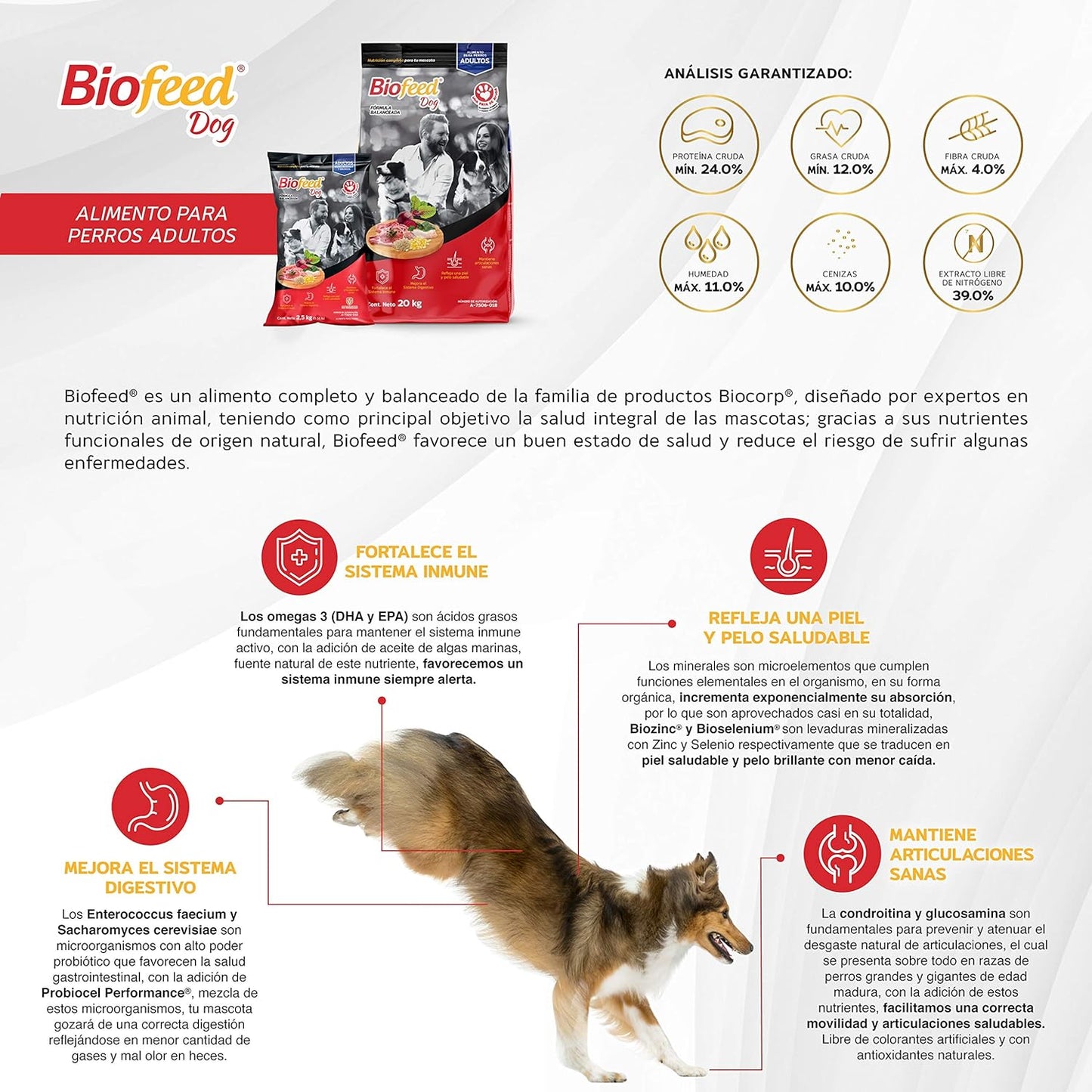 BIOFEED PERRO ADULTO RAZAS MEDIANAS Y GRANDES 20 KG