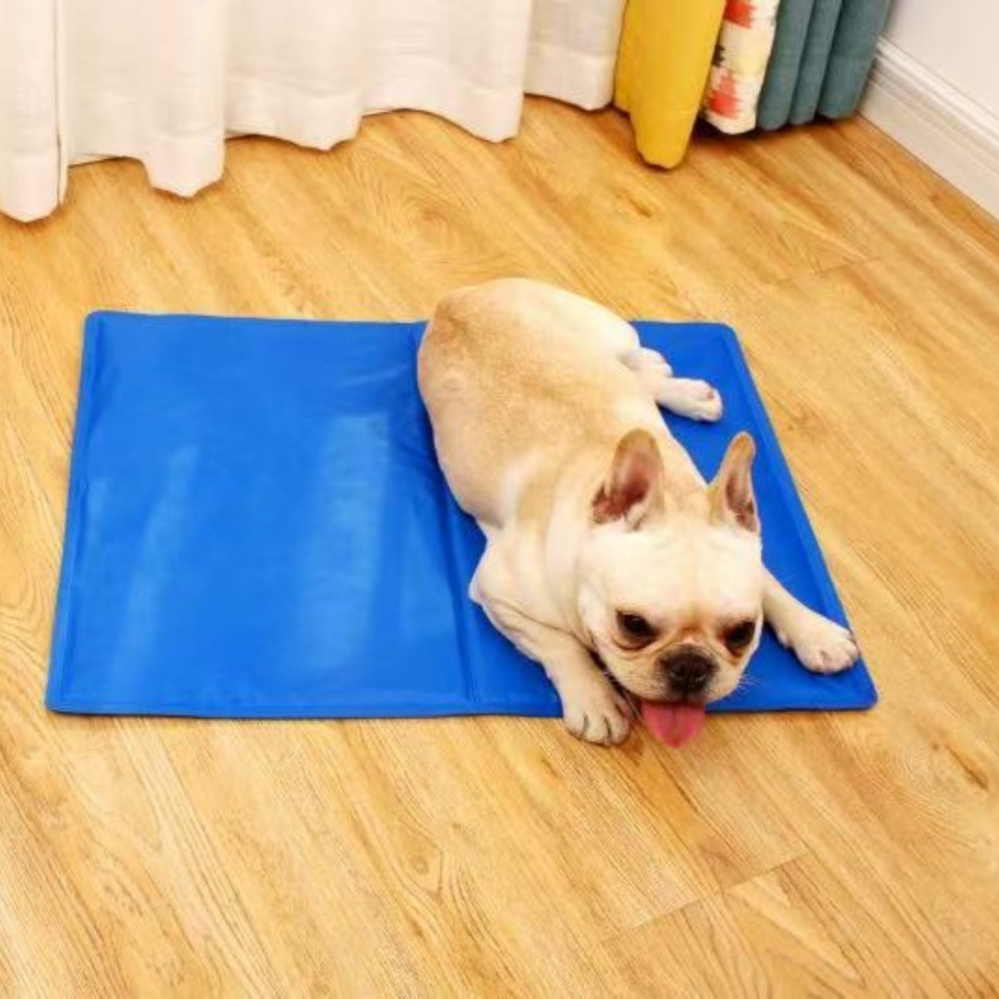 Petnation Tapete Refrescante para Perro y Gato Tamaño Chico