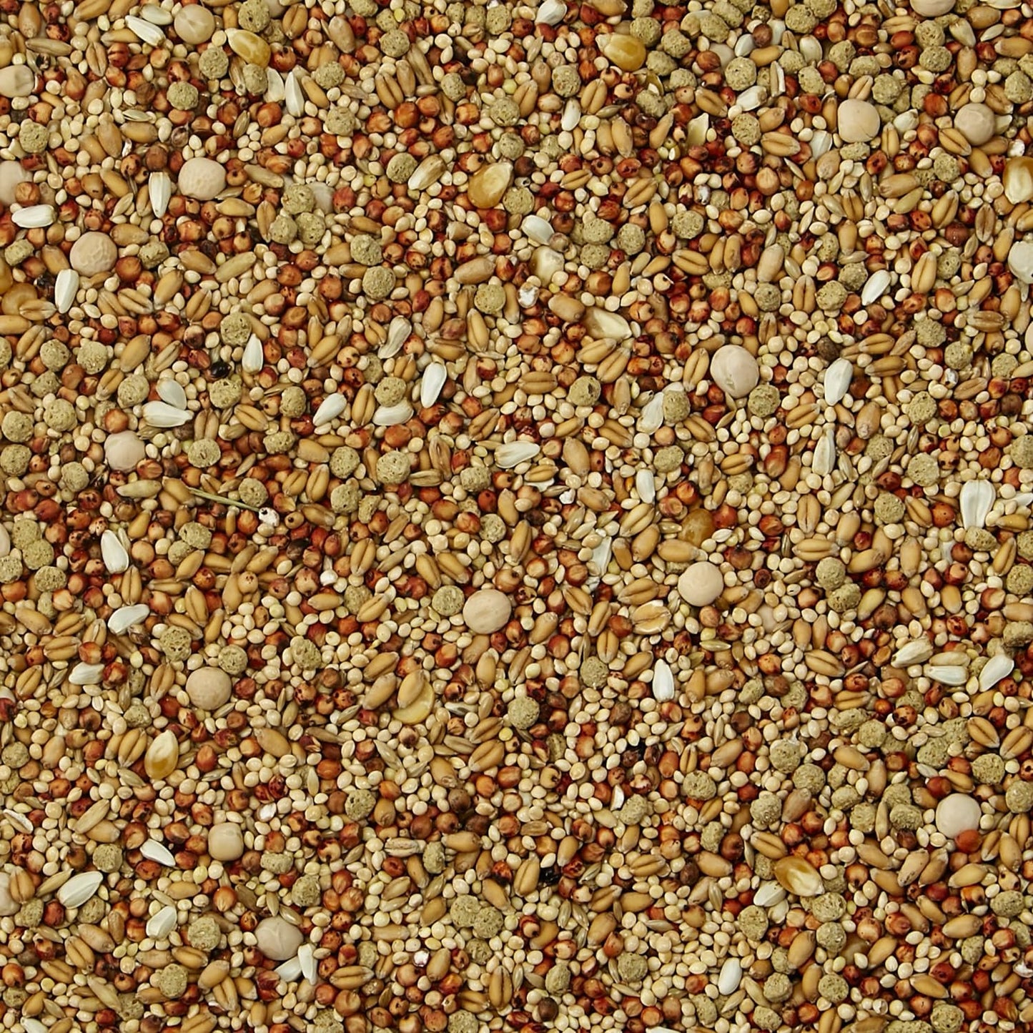 Kaytee Supreme Alimento para Paloma, 2.27 Kg (5 LB)