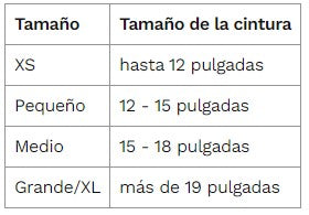 Wee-Wee Pañales con indicador de humedad para perros, talla Ch