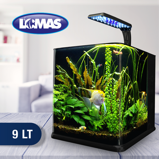 Acuario Nano Cubo