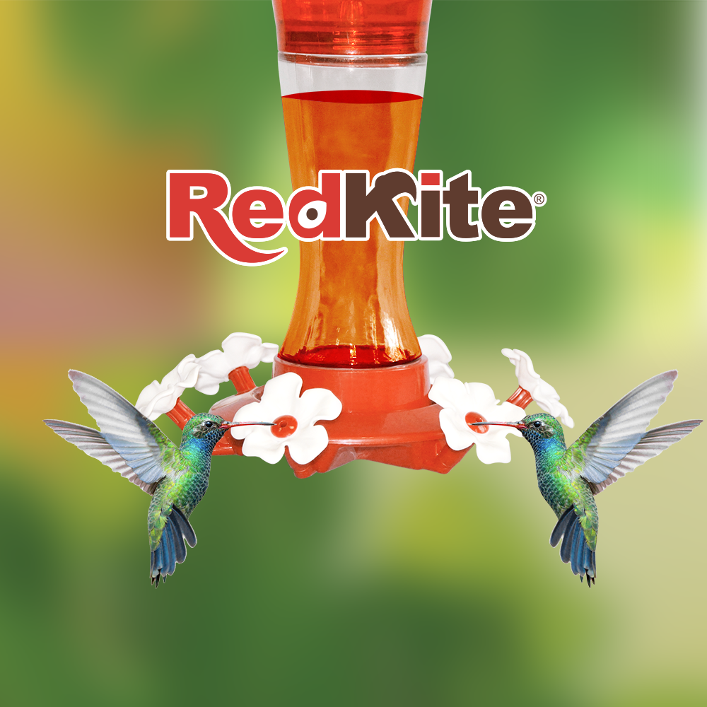 RedKite, Bebedero De Vidrio Para Colibrí 590 ml
