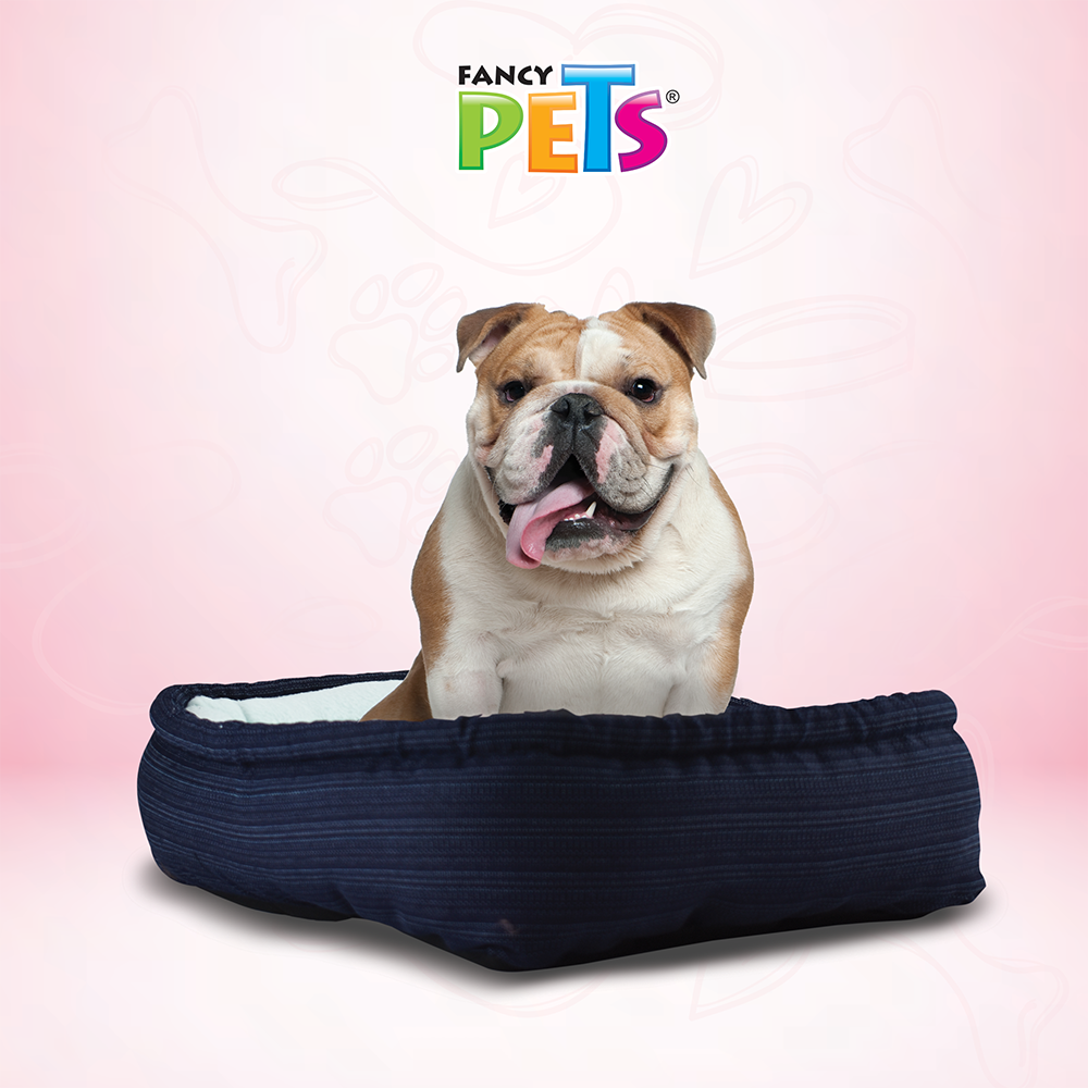 Fancy Pets Cama Económica Rectangular Suave y Resistente Para Perro (Telas Surtidas) - Petopia