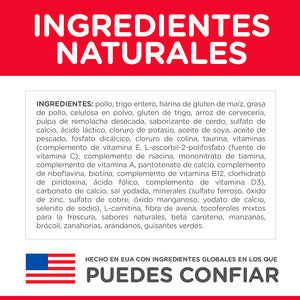 Hill's Science Diet, Alimento para Gato Adulto 7+ años Indoor, Seco (bulto)