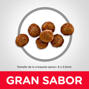 Hill's Science Diet, Alimento para Gatito (Kitten) Indoor Croquetas