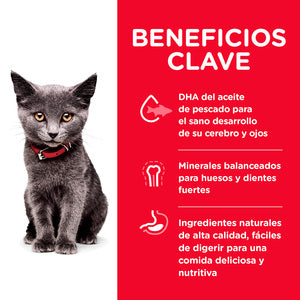 Hill's Science Diet, Alimento para Gatito (Kitten) Indoor Croquetas