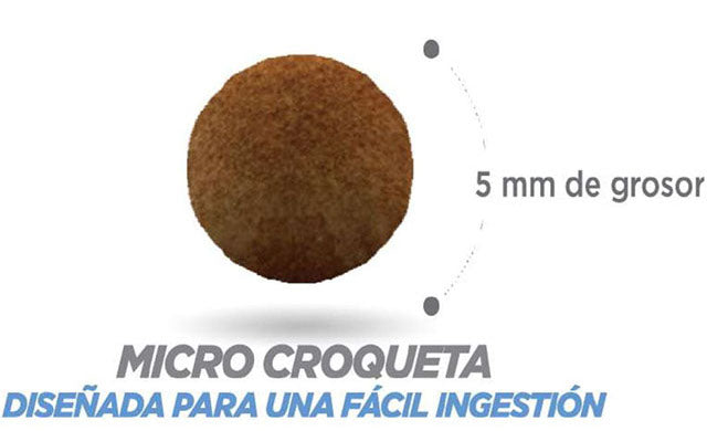 NUPEC GATITO 3 KG