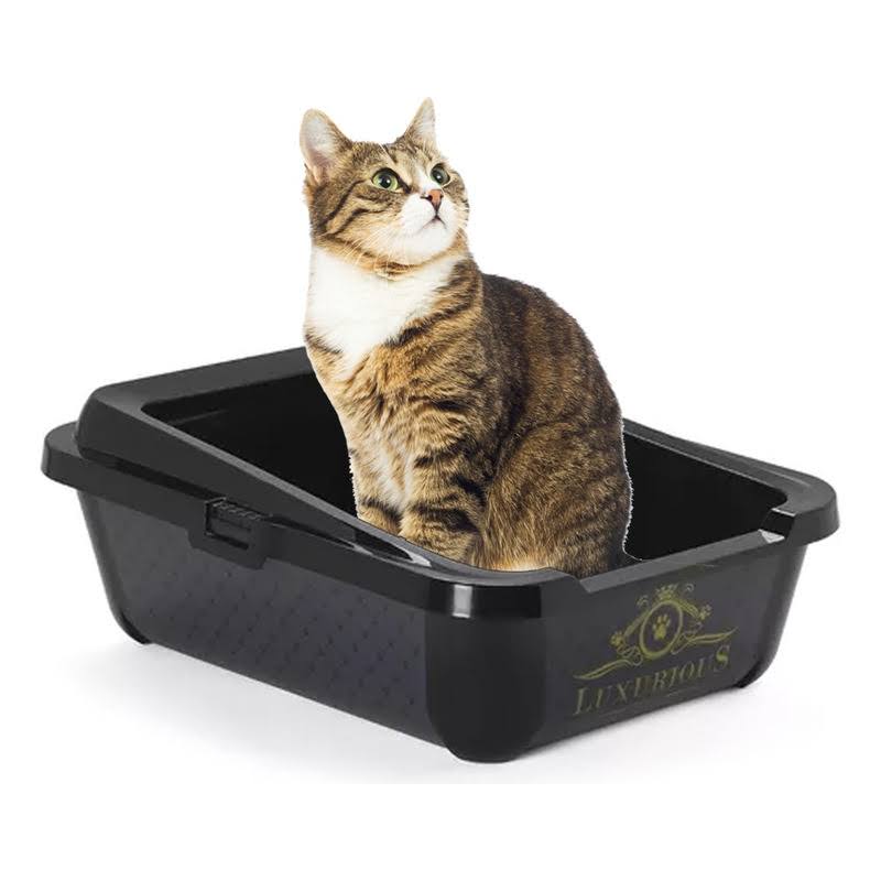 Moderna Products, Arenero para Gato - Hercules Luxurious Pet Negro Grande 50cm