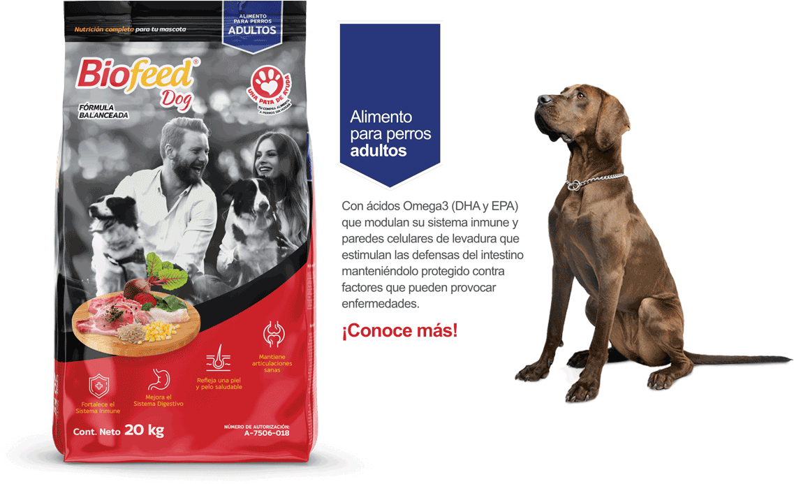 BIOFEED PERRO ADULTO RAZAS MEDIANAS Y GRANDES 20 KG