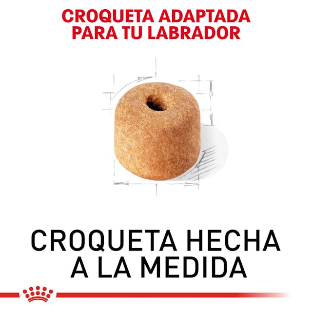 ROYAL CANIN-LABRADOR RETRIEVER 13.6 KG
