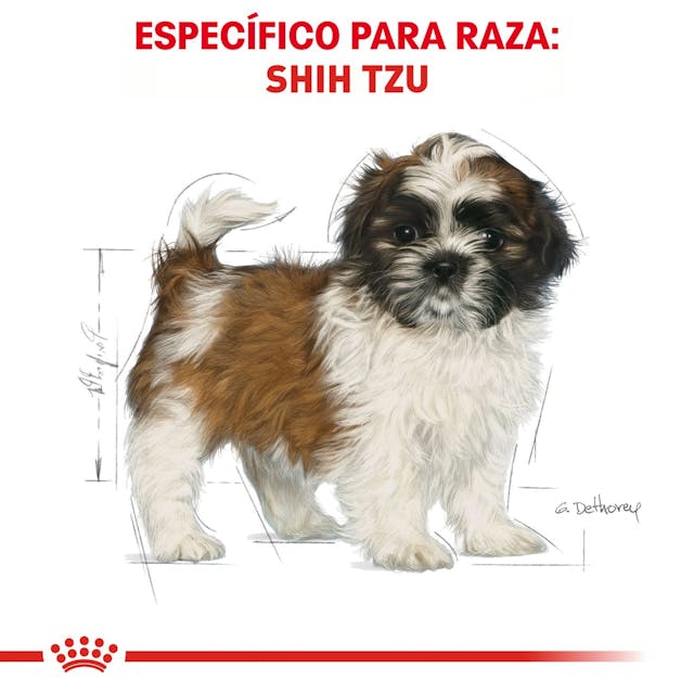 ROYAL CANIN-SHIH-TZU PUPPY 1.1