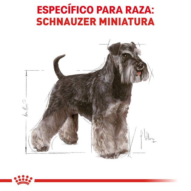 ROYAL CANIN-MINI SCHNAUZER ADULT 4.5