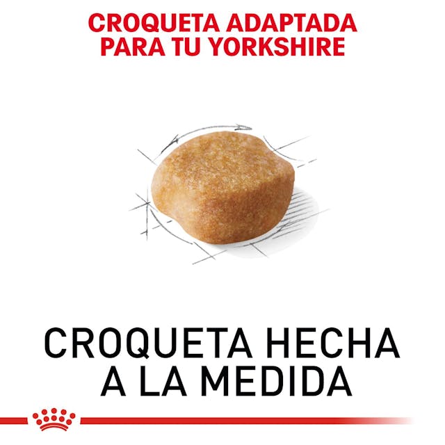 ROYAL CANIN-YORKSHIRE ADULT 1.1