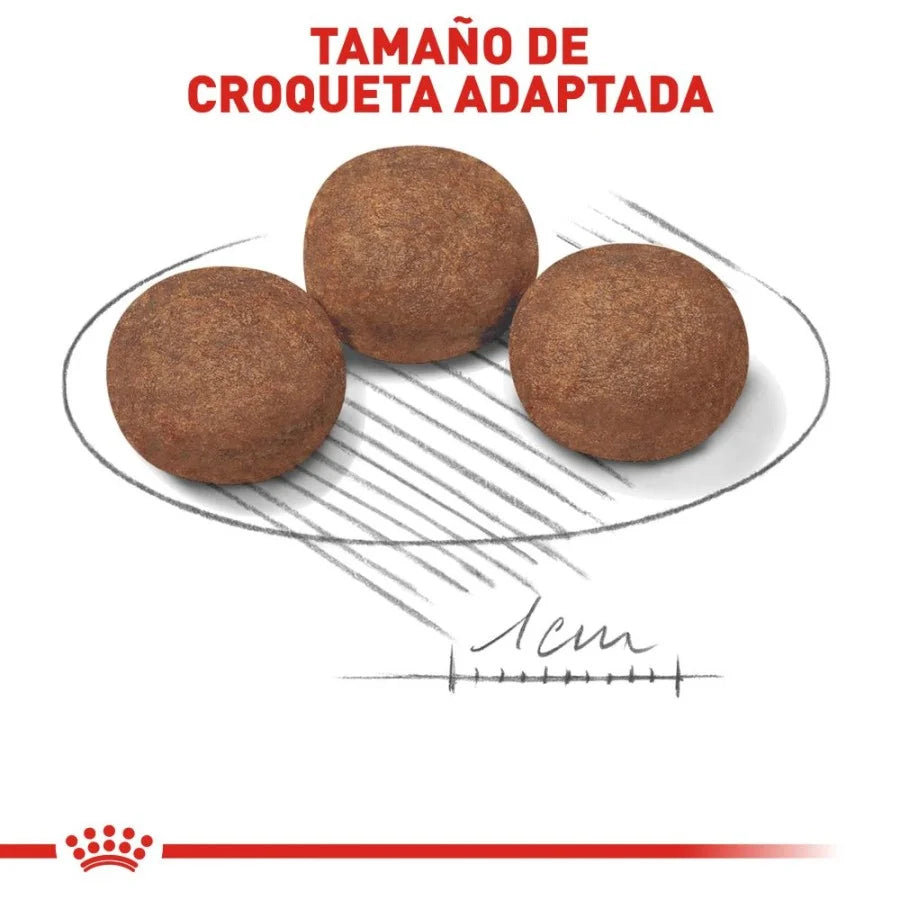 ROYAL CANIN-MEDIUM BREED PUPPY 13 KG