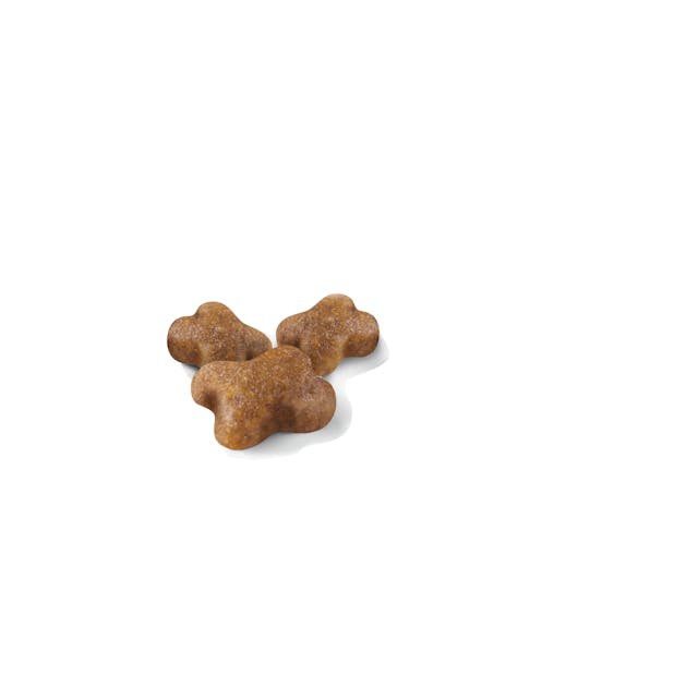 ROYAL CANIN-KITTEN 1.5