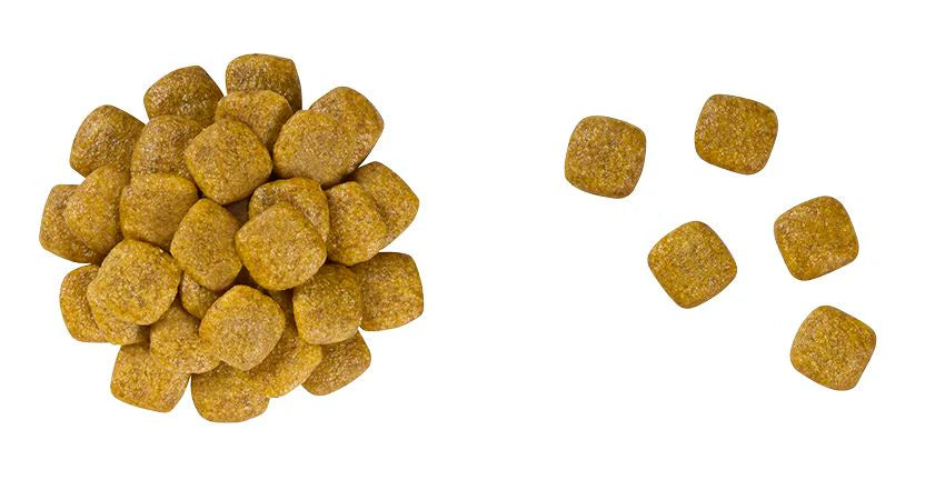 ROYAL CANIN-RENAL SUP S DOG 8KG