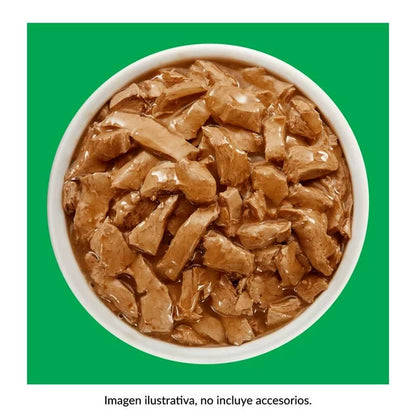 DOG CHOW PUPPY Pollo 100 g