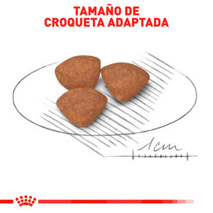 ROYAL CANIN-SMALL BREED PUPPY 6.36 KG